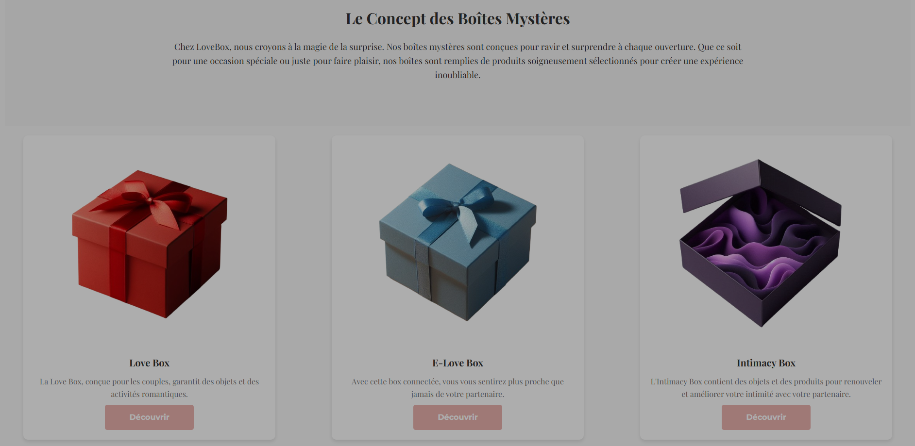 Boutique en ligne fictif de vente de box